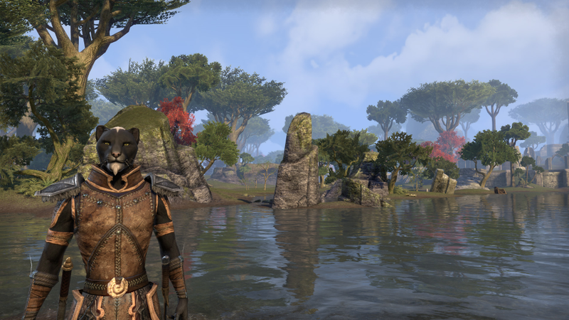 Illustration for article titled Elder Scrolls Online MMO Log: The World Is My Cat Box